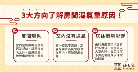 房子濕氣太重|房間溼氣重對身體影響危害多！當心引發呼吸、皮膚等。